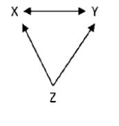 <ul><li><p>Z is related to X &amp; Y and plays a big role</p></li></ul><p></p>