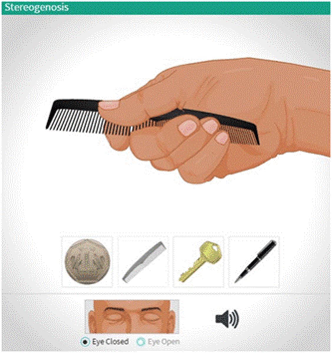 <p>uses both touch and proprioception to identify an object in hand</p><p>procedure</p><p>-vision occluded</p><p>-familiar objects are placed in clients hand</p><p>-client manipulates object and is asked to identify object or its characteristics</p><p>client must have adequate motor function and communication skills</p>