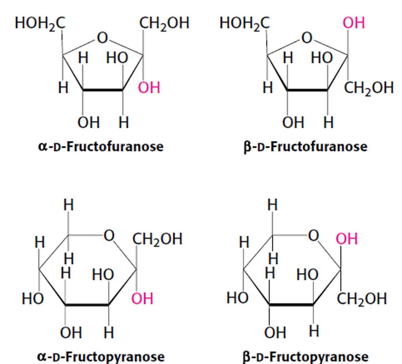 <p>1. 2 furanoses (α & β forms)</p><p>2. 2 pyranoses (α & β forms)</p><p>*α & β - refer to the OH groups attached to C2, the anomeric C. Both in rapid equilibrium with the open chain form.</p>