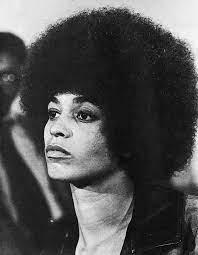 <p>Angela Y. Davis</p>