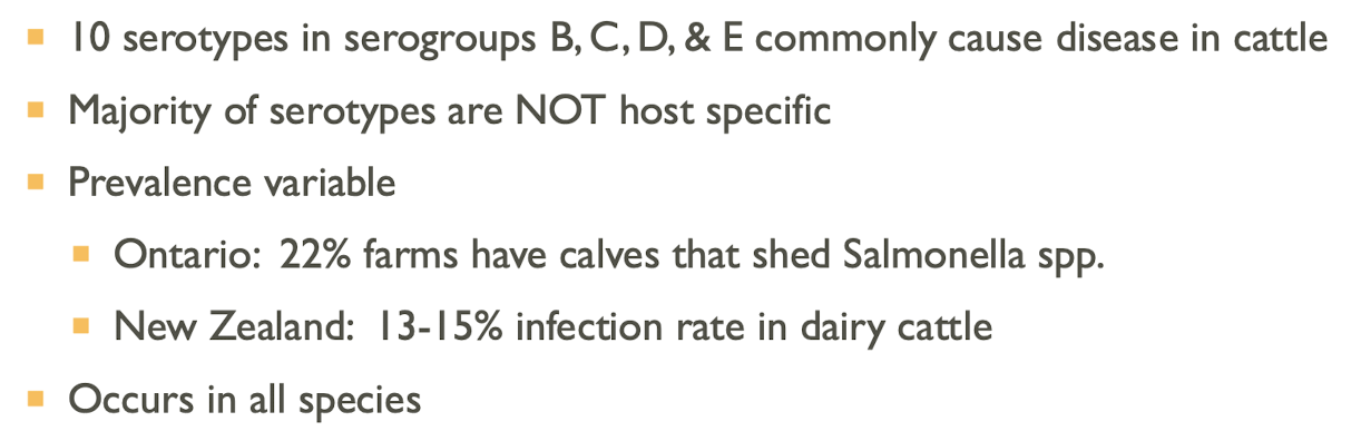 <p>There are 2200 serotypes based on O and H antigen groups.</p>