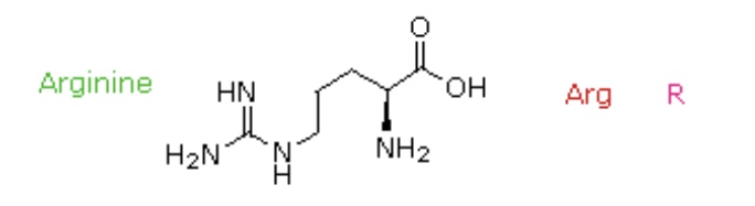 <p>Arg, R</p>