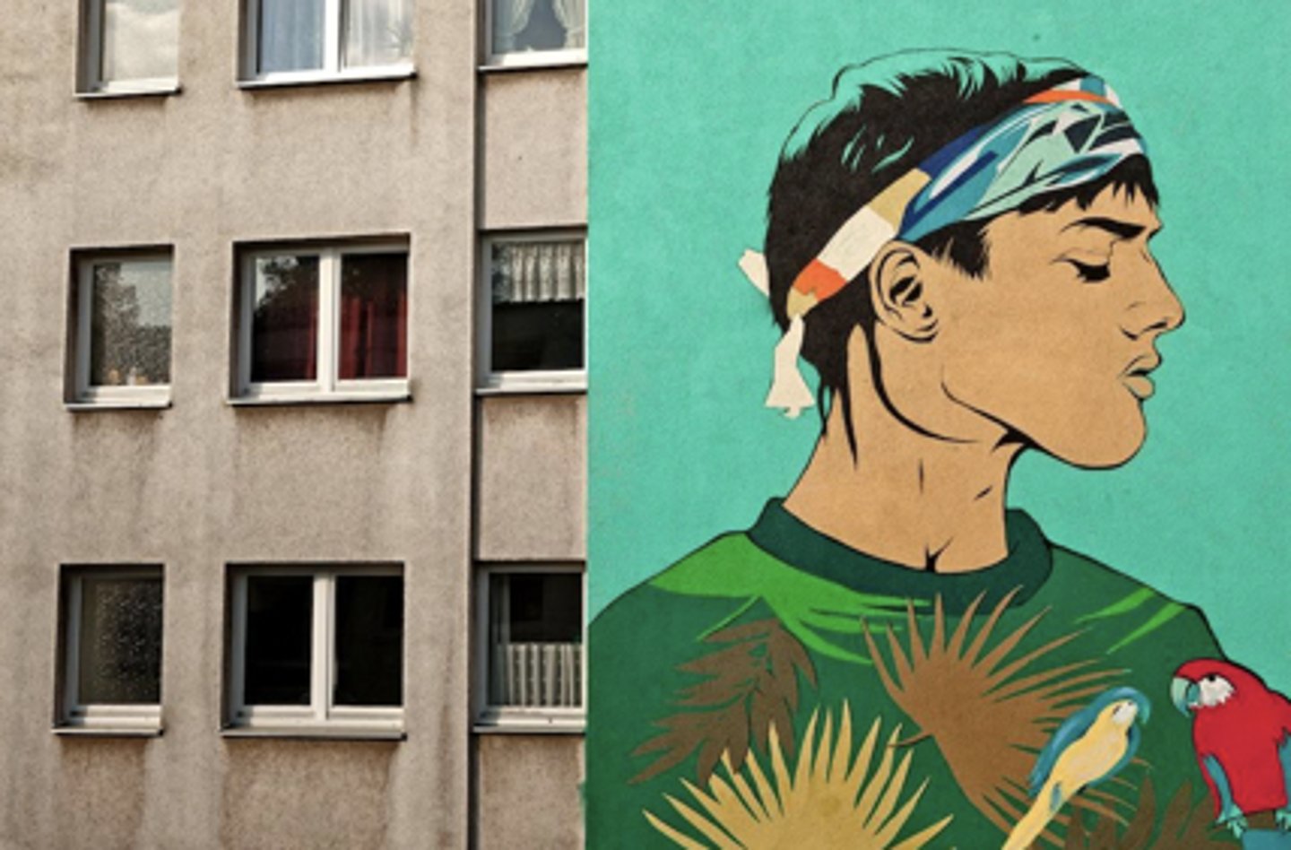 <p>a) Egypt<br>b) Once people started to protest issues such as income disparity, oppressive governments, etc female graffiti artists were not dissuaded. <br>c) Aya Tarek created murals depicting martyrs/victims of government oppression</p>