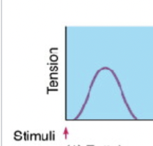 <p>Single muscle contraction from one stimulus</p>