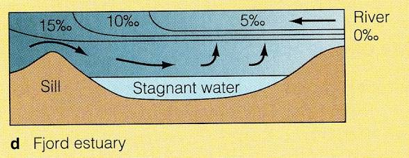 <ul><li><p>Deep, small surface area</p></li><li><p>High freshwater input</p></li><li><p>Little tidal mixing</p></li><li><p>Ex: Milford Sound, New Zealand</p></li></ul><p></p>