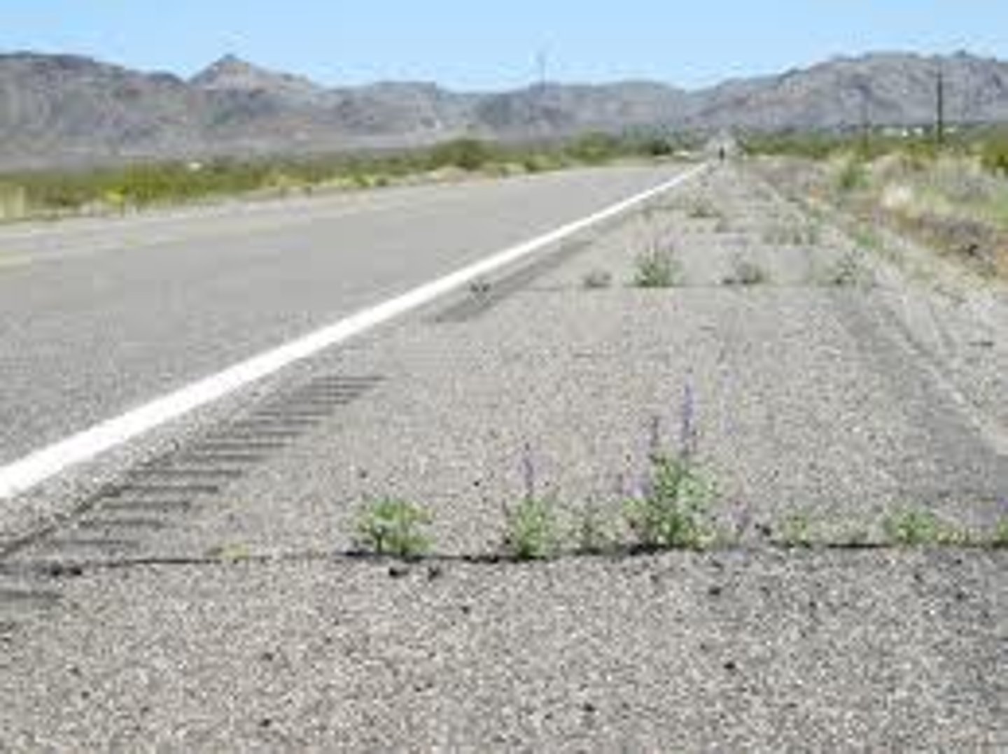 <p>shoulder (road)</p>