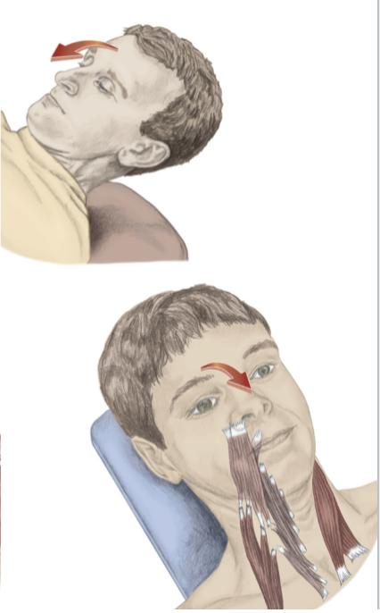 Cervical Flexion