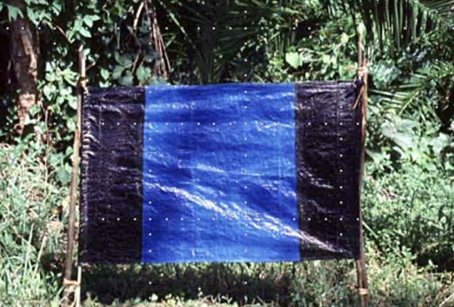 <p>Traps and Targets: What trap is this called?</p>