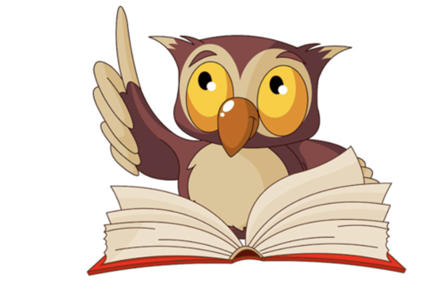 <p>wise</p>