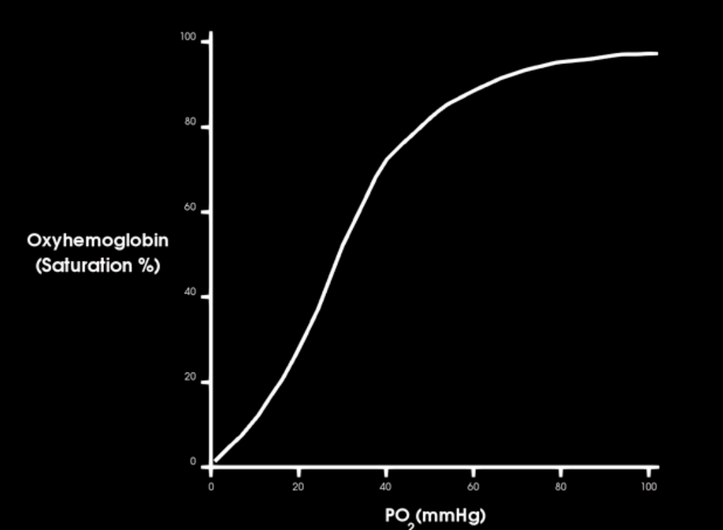 <p>what is the the most important variable affecting hemoglobin affinity for o2</p>