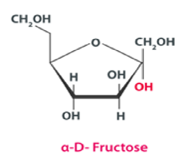 <p>5 carbon ring and a structural isomer of glucose have a ketone rather then aldehyde </p>