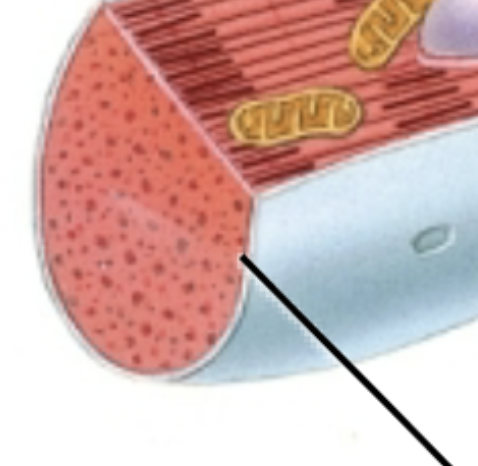 <p>What does the pointer point to?</p>