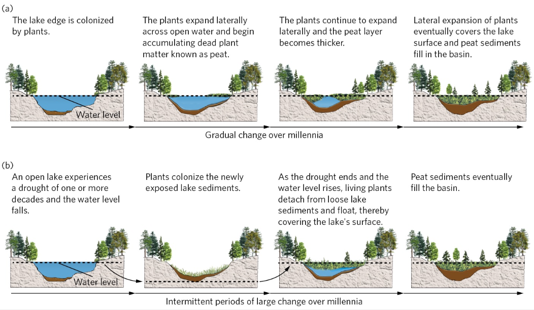 <p>Lake Succession</p>