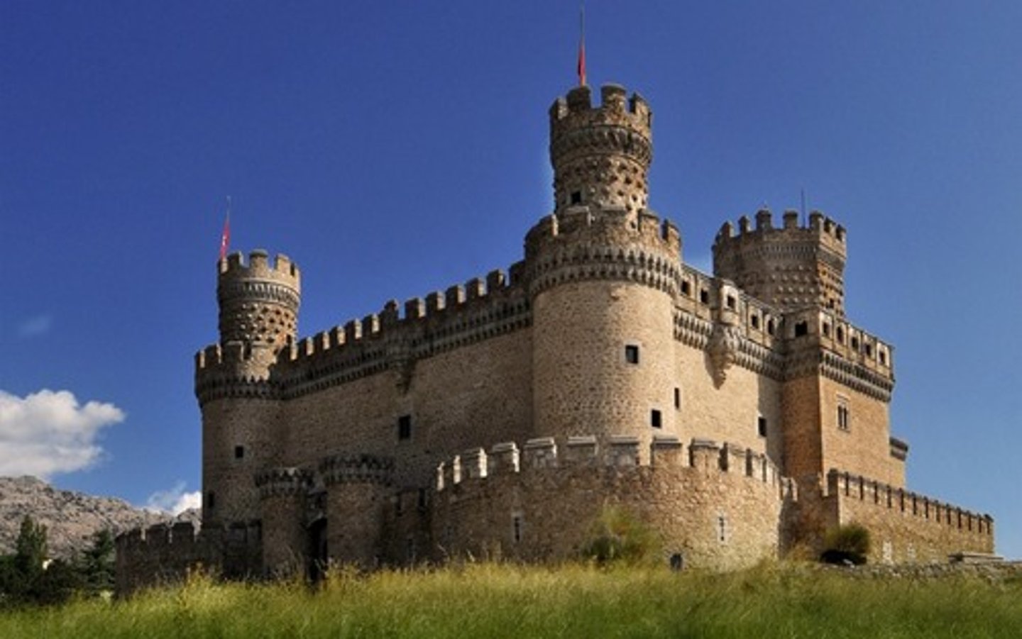 <p>castle</p>
