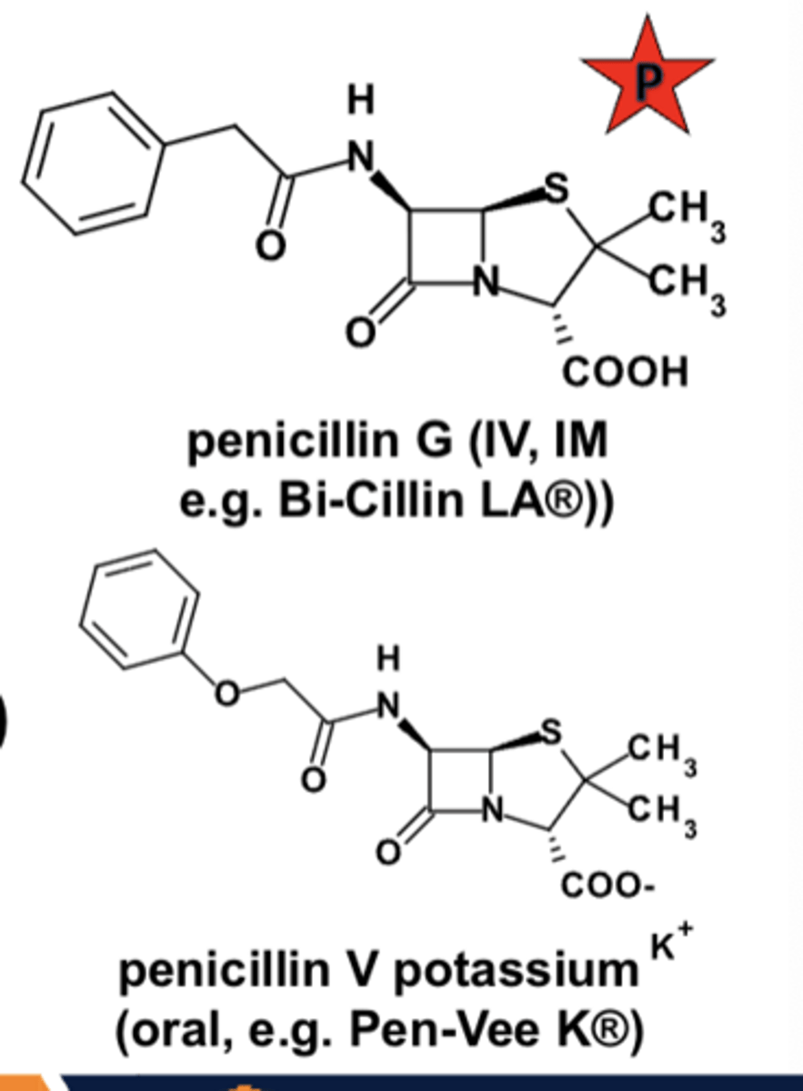 <p>- PO, IV, IM (depot preps)</p><p>- penicillin G, penicillin V</p><p>- bactericidal</p><p>- spectrum: primarily non-lactamase-producing Gram(+) cocci, still used as first-line therapy</p><p>- sensitive to beta-lactamases</p><p>- ADRs primarily limited to hypersensitivity and injection-site reactions</p>