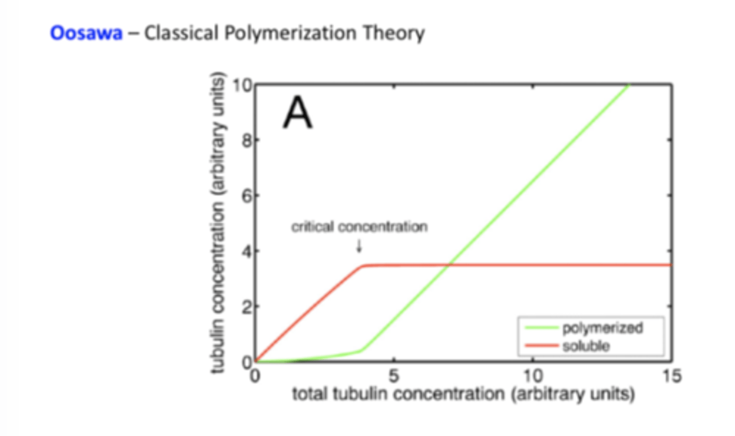 <p>Proposes that soluble tubulin begins to polymerize when it reaches a critical concentration in the cell, with the concentration of soluble tubulin staying constant when this occurs</p>