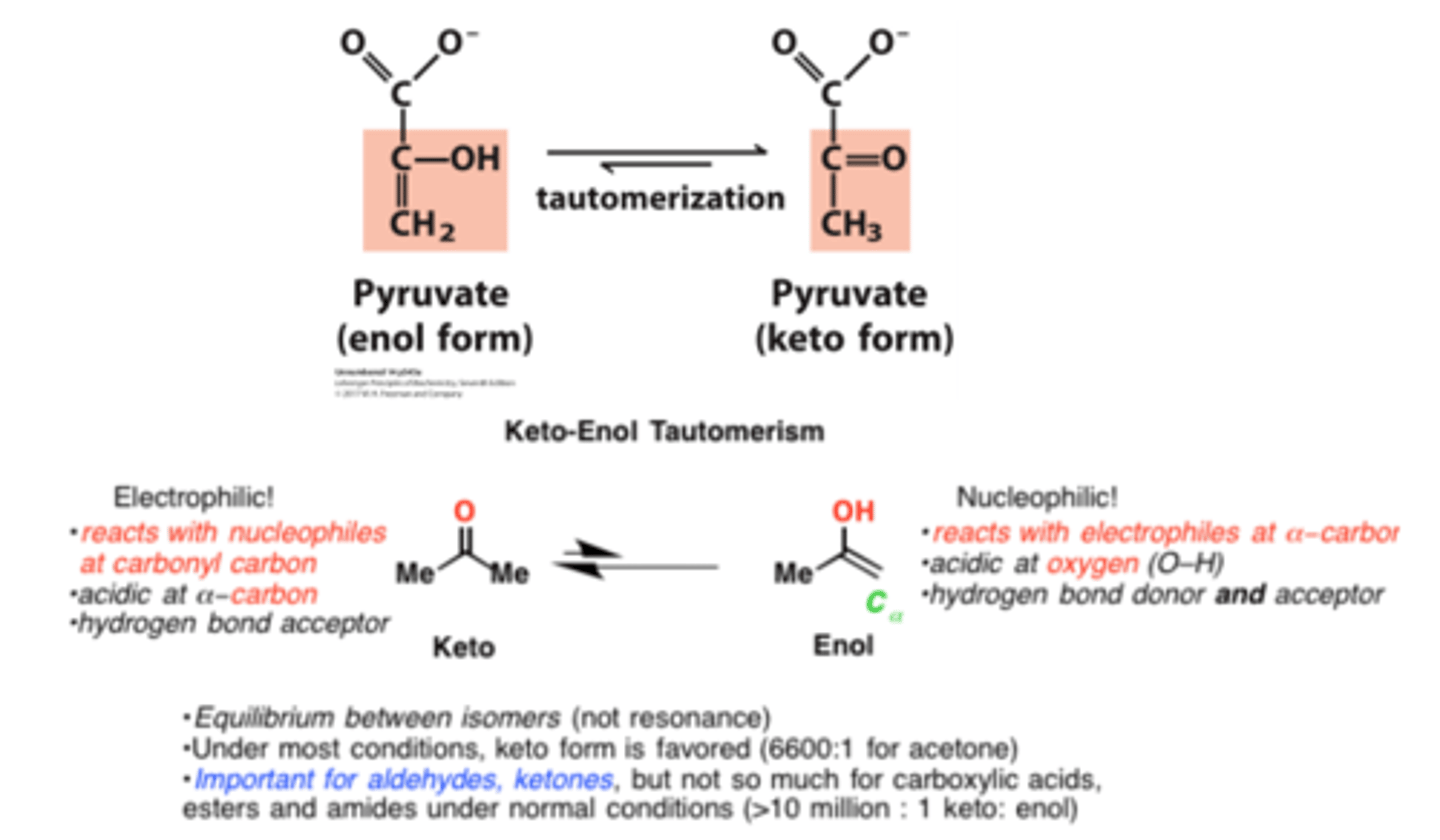 <p>constitutional isomers</p>