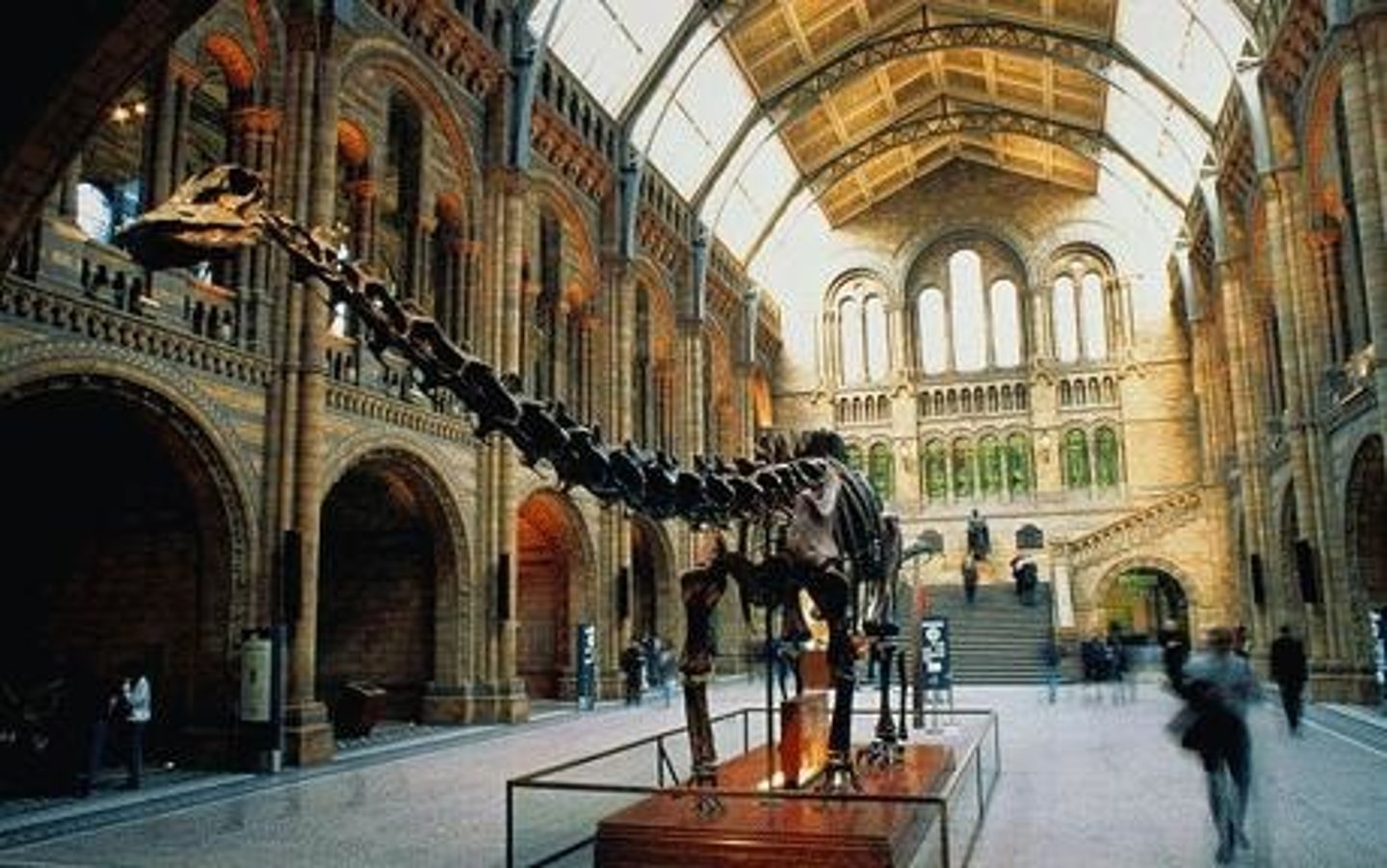 <p>museum</p>