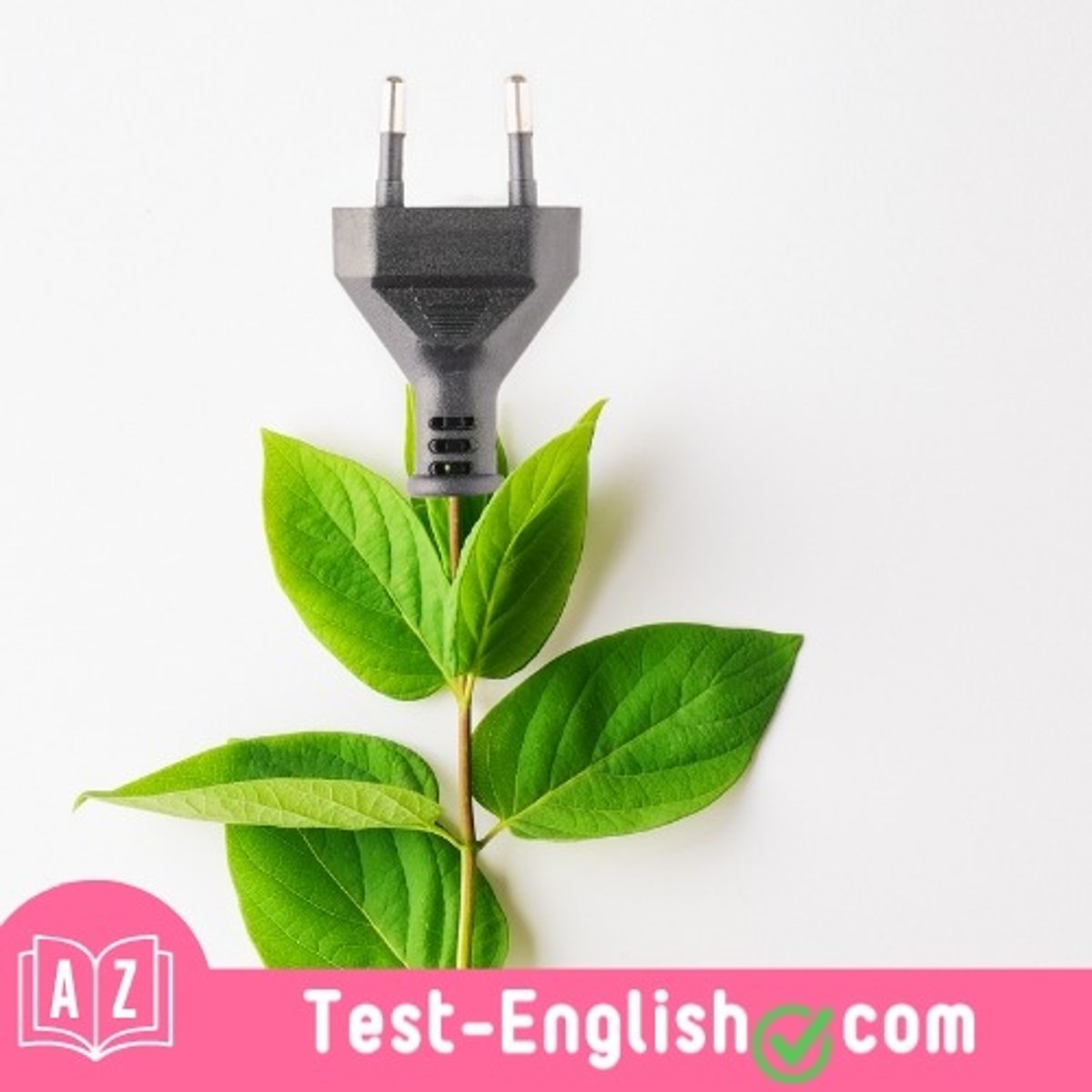 <p>We should all adopt _____, like recycling and using renewable energy, to avoid the depletion of the Earth's resources. (2 words)</p>