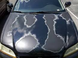 <p>Acid rain damaging car paint</p>