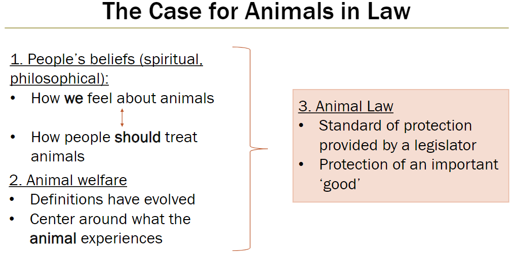 <p><strong>Introduction: Animal Law</strong><br> Concerned with how animals are treated and protected under the law</p><p><strong>People’s Beliefs (Spiritual, Philosophical)</strong><br> How people feel about animals<br> How people believe animals should be treated</p><p><strong>Animal Welfare</strong><br> Definitions have evolved<br> Focuses on what the animal experiences</p><p><strong>Animal Law</strong><br> Standard of protection set by legislators<br> Protects an important “good” (animal welfare)</p>