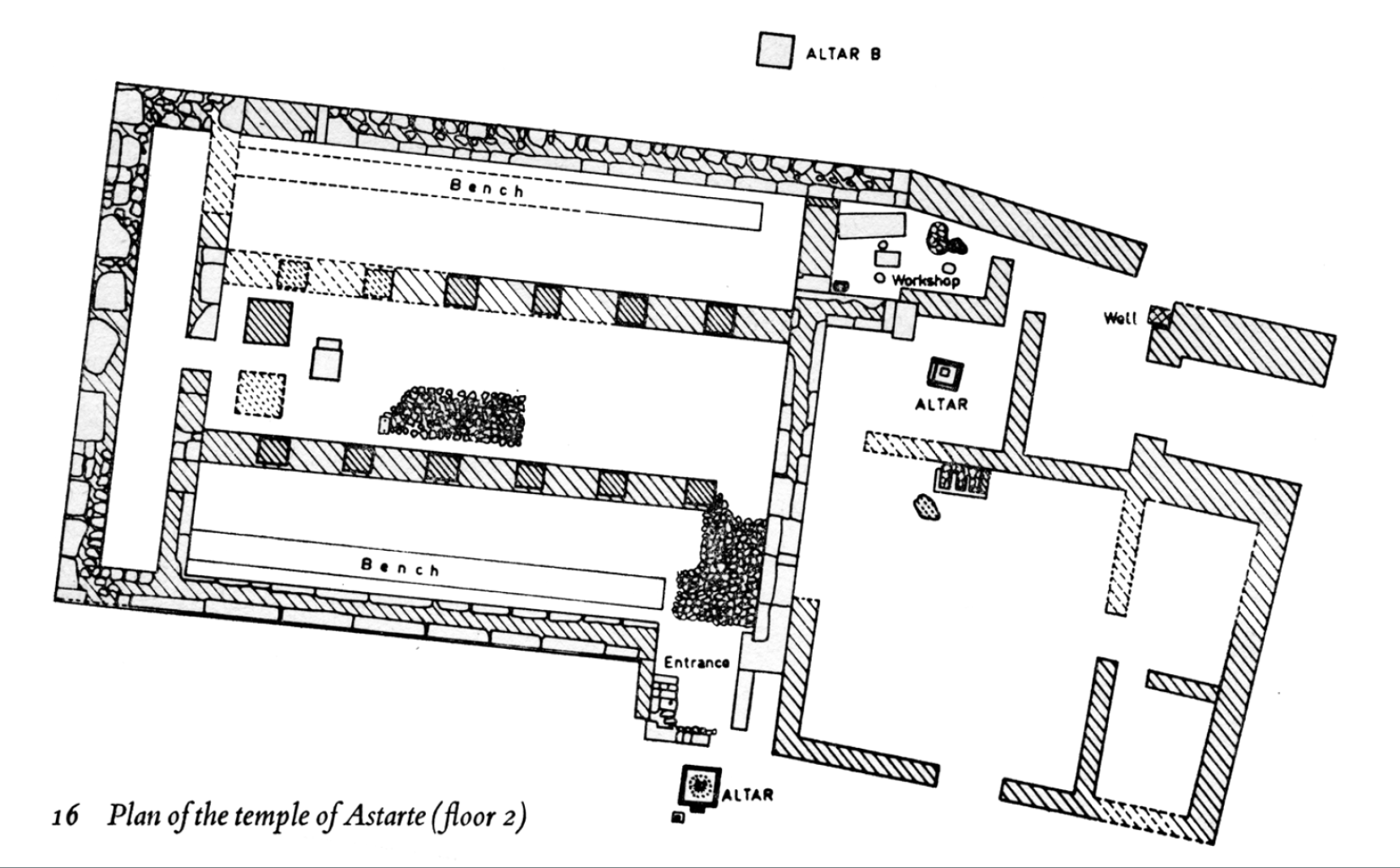 <p>17</p>