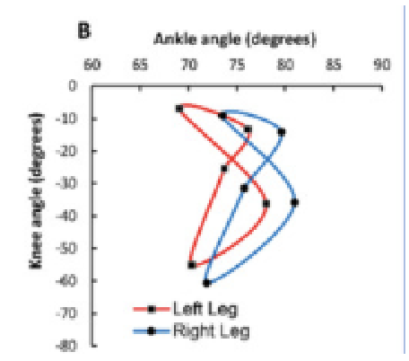<p>What are Angle-Angle Diagrams?</p>