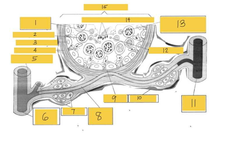 <p>15</p>