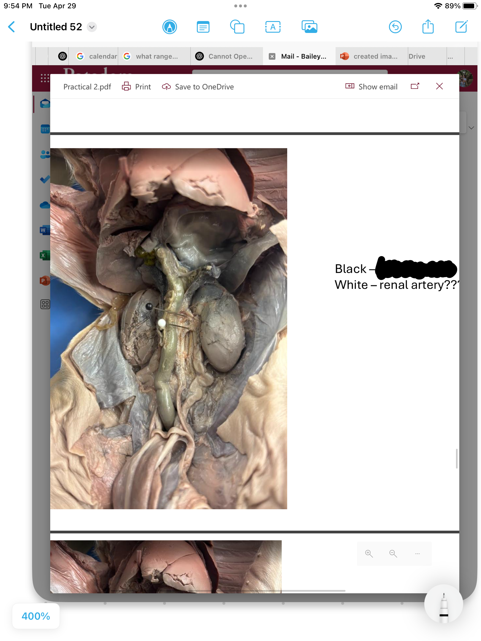 <p>label the area</p>