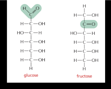 <p>glucose and fructose are what type of isomers</p>