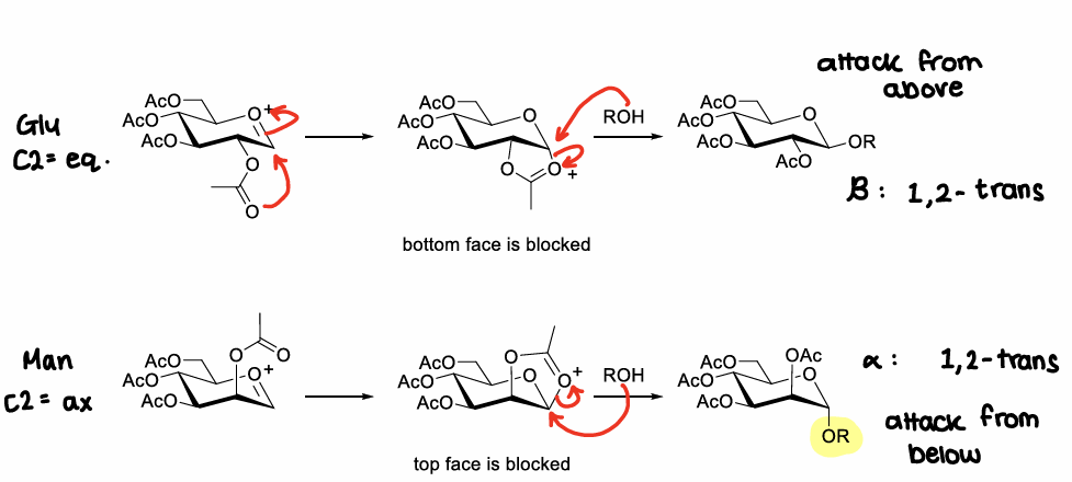 <p>When there is a protecting group at the C2 position, a bicyclic oxonium ion intermediate can be formed after elimination of the anomeric leaving group.</p><p>This sterically hinders attacks from one side of the ring, leading to one isomer forming.</p>