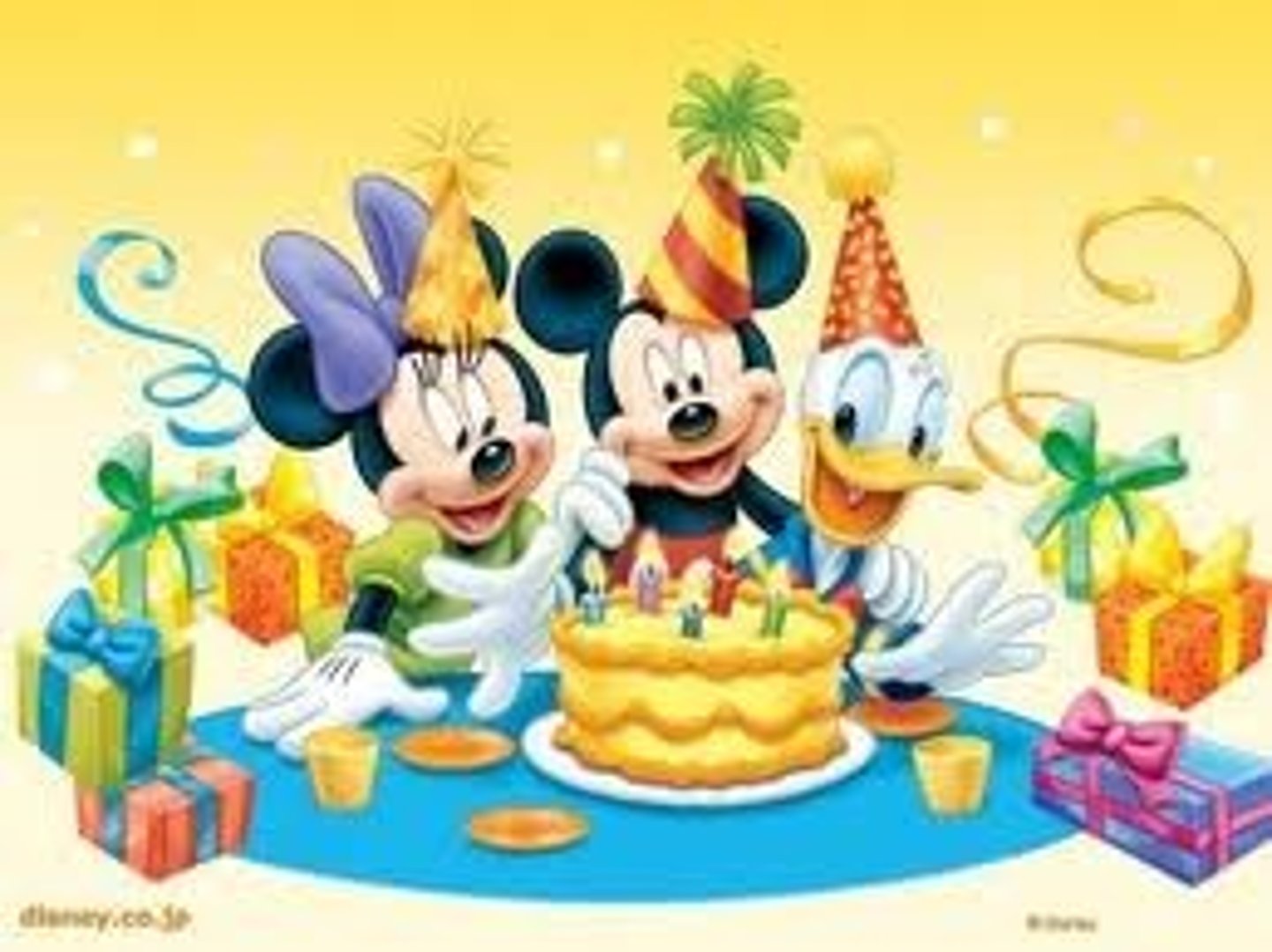 <p>the celebration</p>
