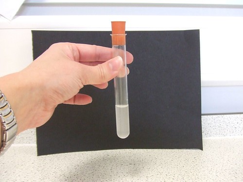 <p>carbonate ions - CO2 formed/effervescence</p>