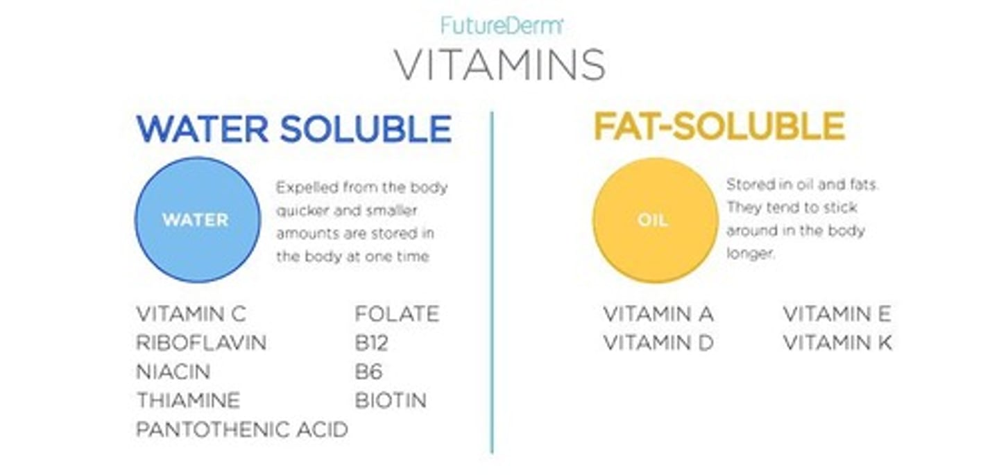 <p>Includes Vitamin C and all B vitamins.</p>