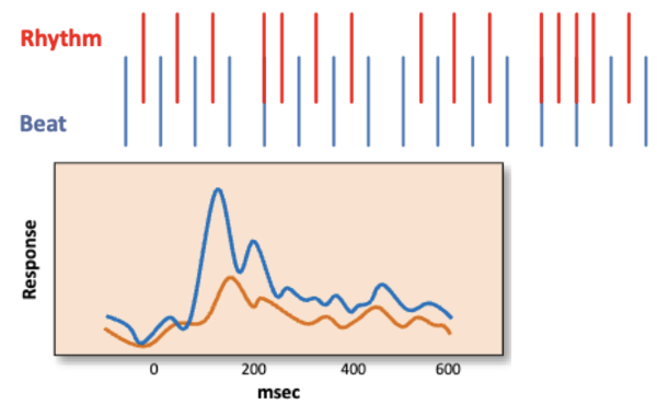 <p>The arrangement of sounds in time, including onset times of notes.</p>