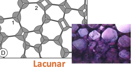 <p><span>Lamellar collenchyma is </span><strong><mark data-color="unset" style="background-color: unset; color: inherit;">a plant tissue where cells have continuous layers of thickening, specifically along their tangential walls, which are parallel to the surface of the organ</mark></strong></p>