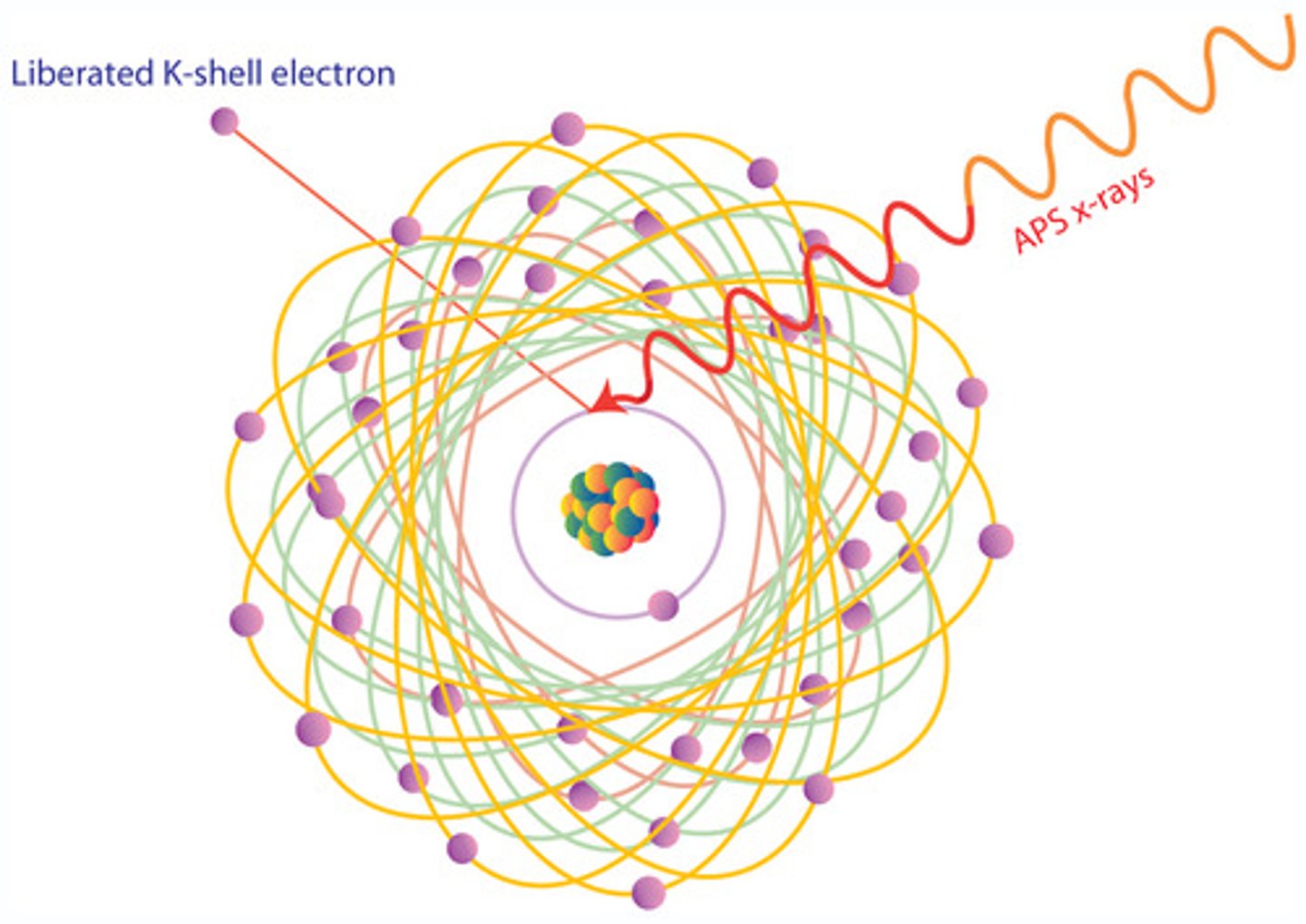 <p>(n.) the smallest unit; consisting of a nucleus (protons and neutrons) with electrons travelling around it</p>