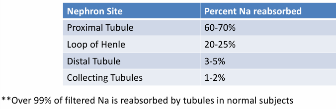<p>-diuretic dose</p><p>-quantity of Na normally reabsorbed at the diuretic-sensitive site</p><p>-ability of more distal segments to reabsorb excess sodium</p>