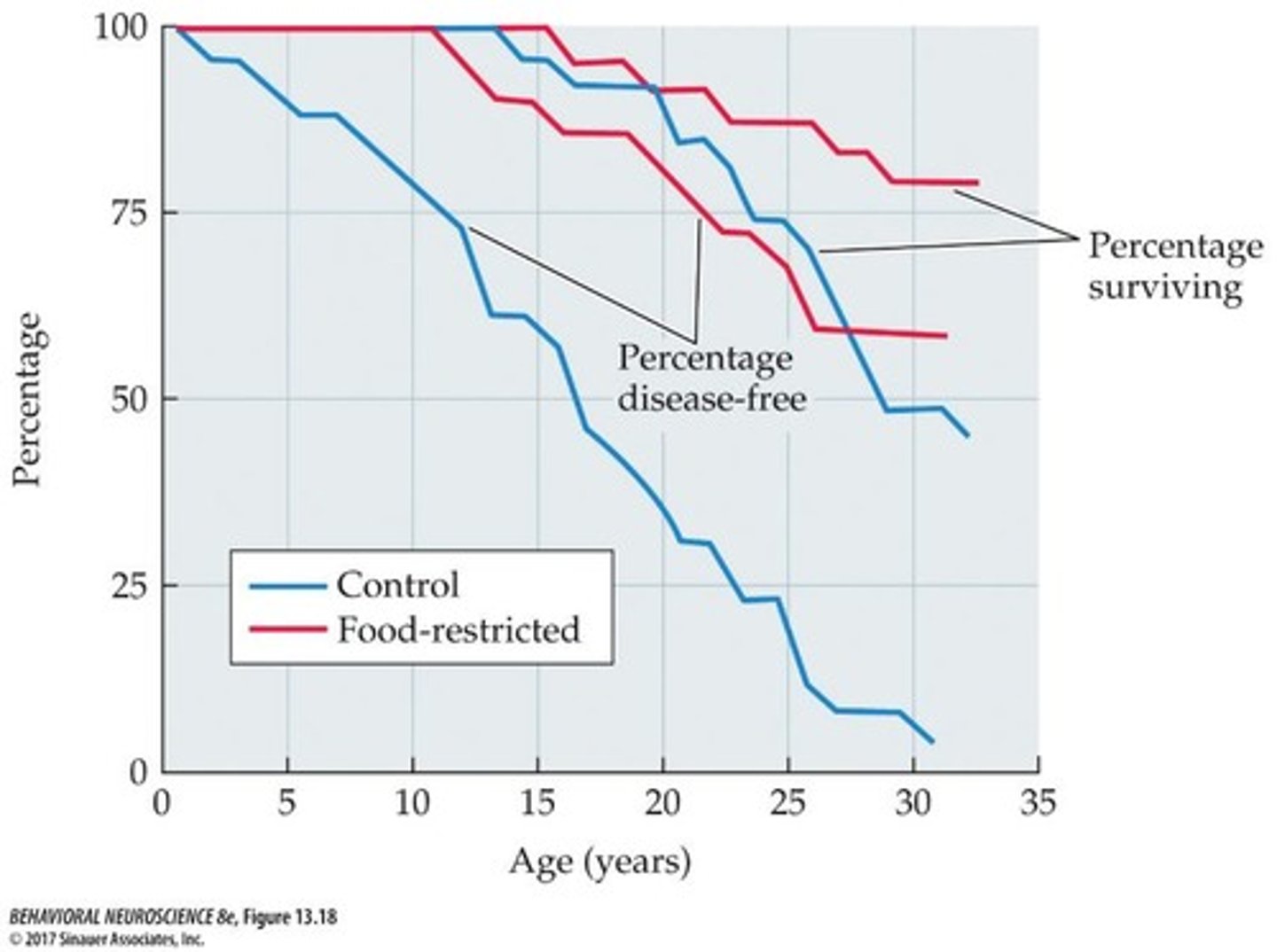 <p>Moderate caloric restriction over 20 years resulted in significant reductions in age-related diseases and associated mortality.</p>