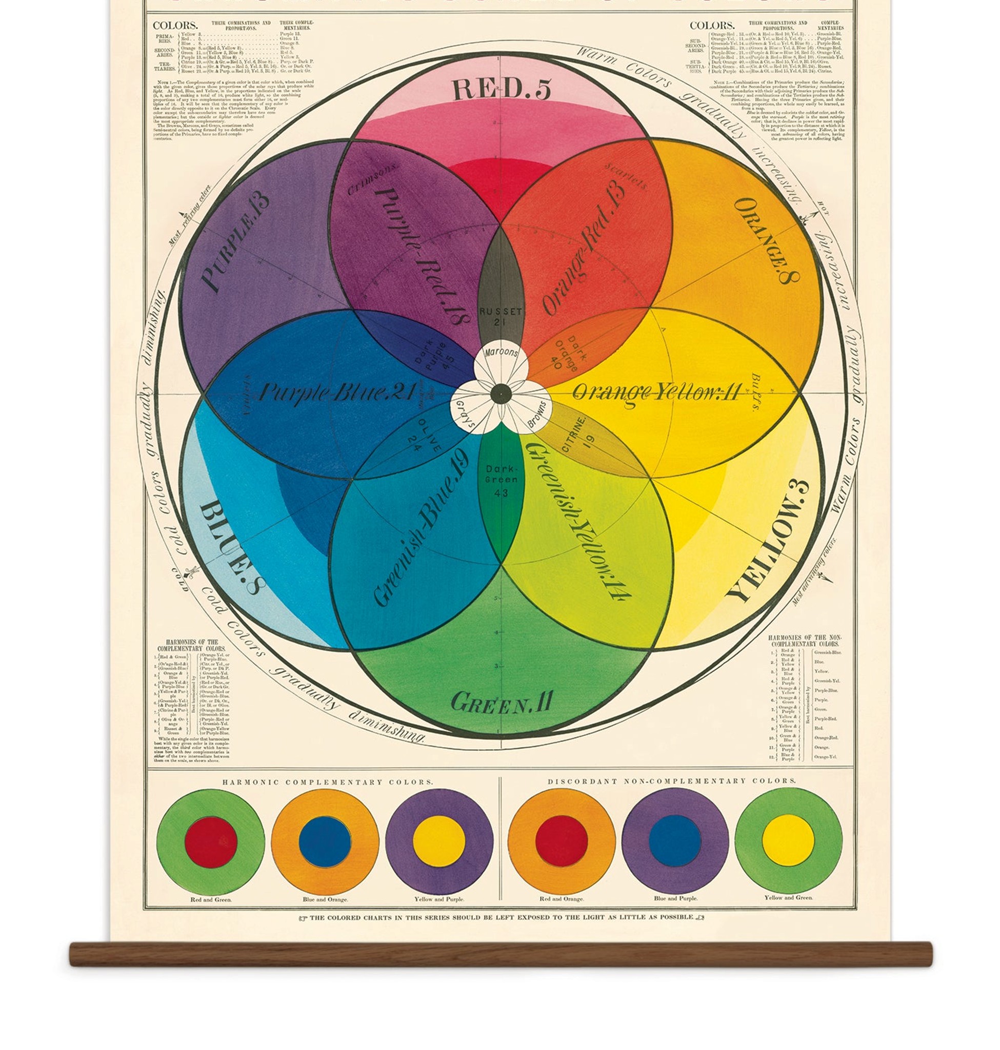 <p>A Greek word that means color.</p>