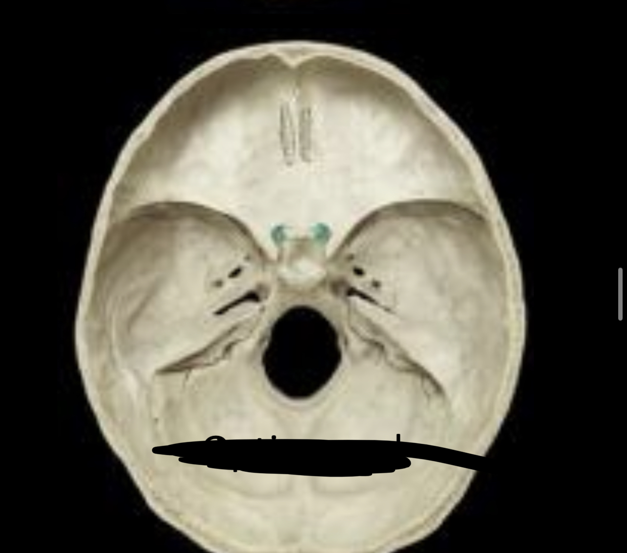 knowt flashcard image