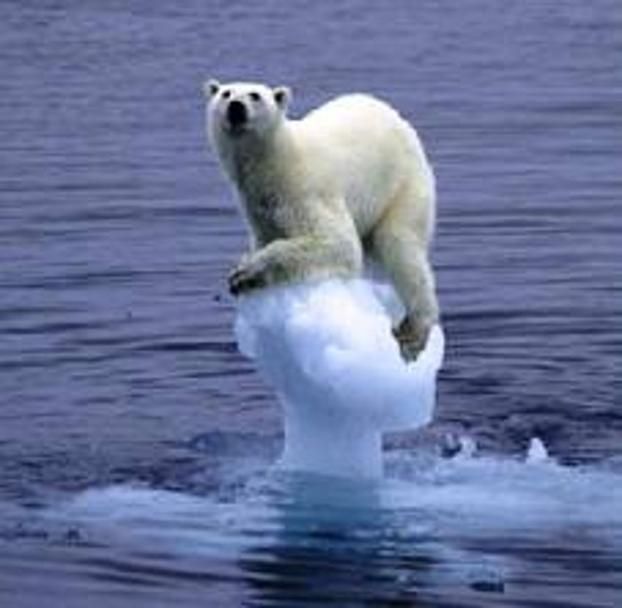 <p>A difficult and sad situation.</p><p>(hoàn cảnh khó khăn, cảnh ngộ)</p><p>= predicament, dilemma</p><p>(tình thế khó xử, tiến thoái lưỡng nan)</p><p>&gt;&lt; solution, advantage</p><p>(giải pháp, lợi thế)</p>