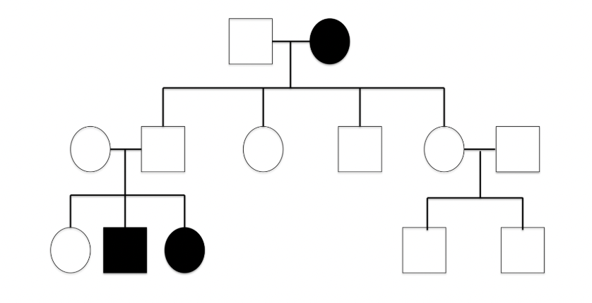 <p>square in a pedigree represents a….</p>