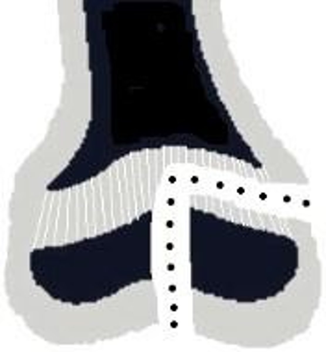 <p>physis and epiphysis</p>