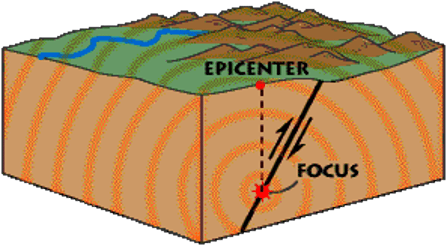 <p>Point on Earth's surface directly above an earthquake's focus</p>