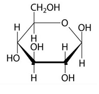 <p>What is this molecule?</p>
