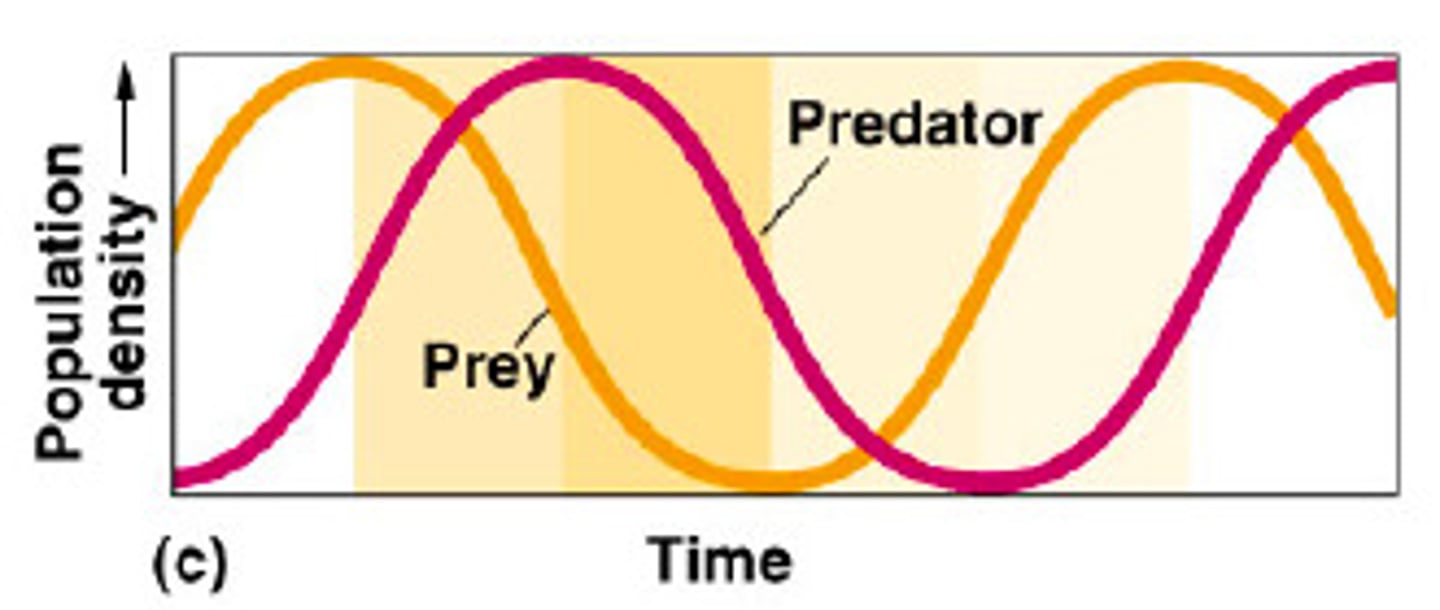 <p>- For two interacting species, continuous change is needed just to maintain the fitness of one species relative to the other species it is coevolving with</p>