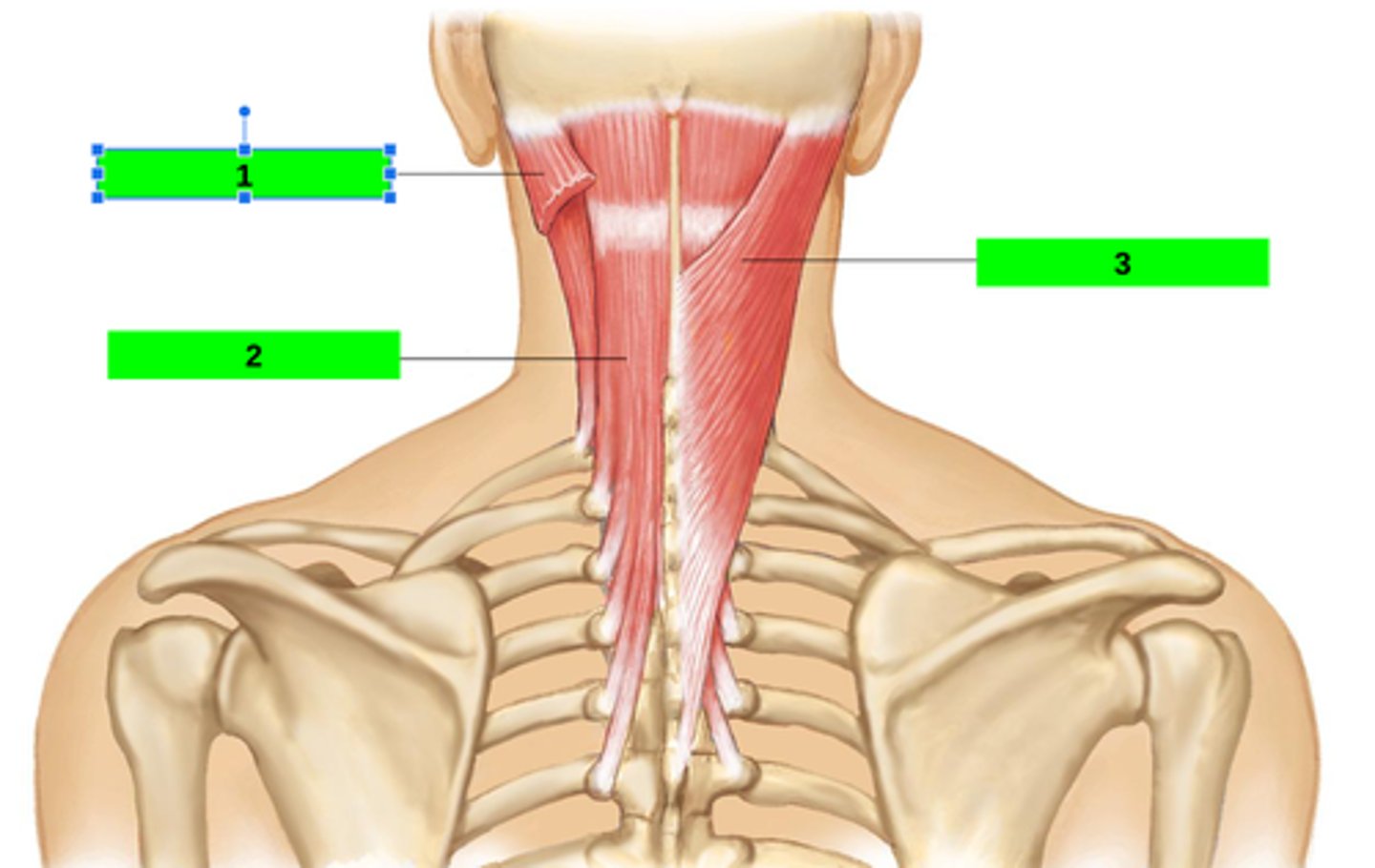 <p>1</p>