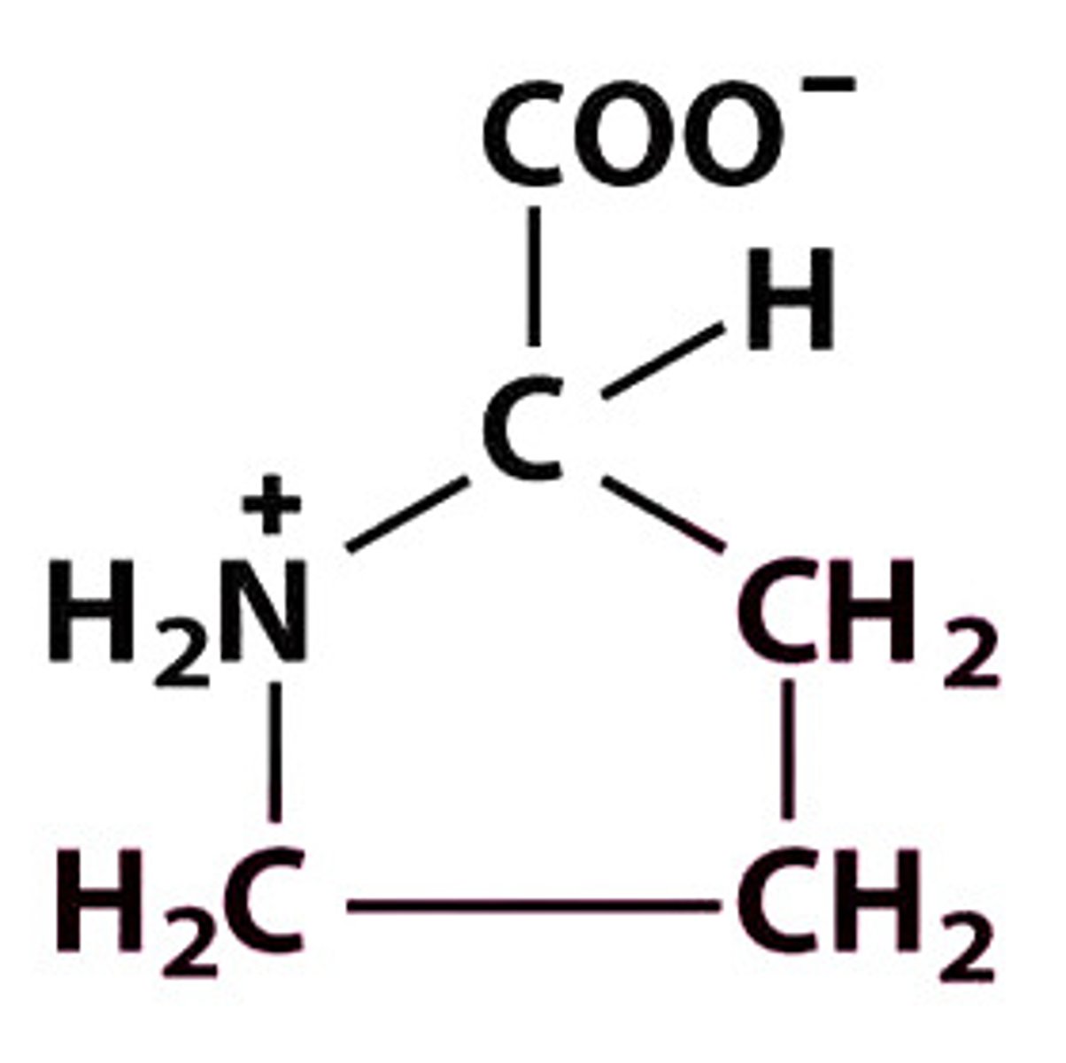 <p>Give the symbol, abbreviation, Name of this amino acid</p>