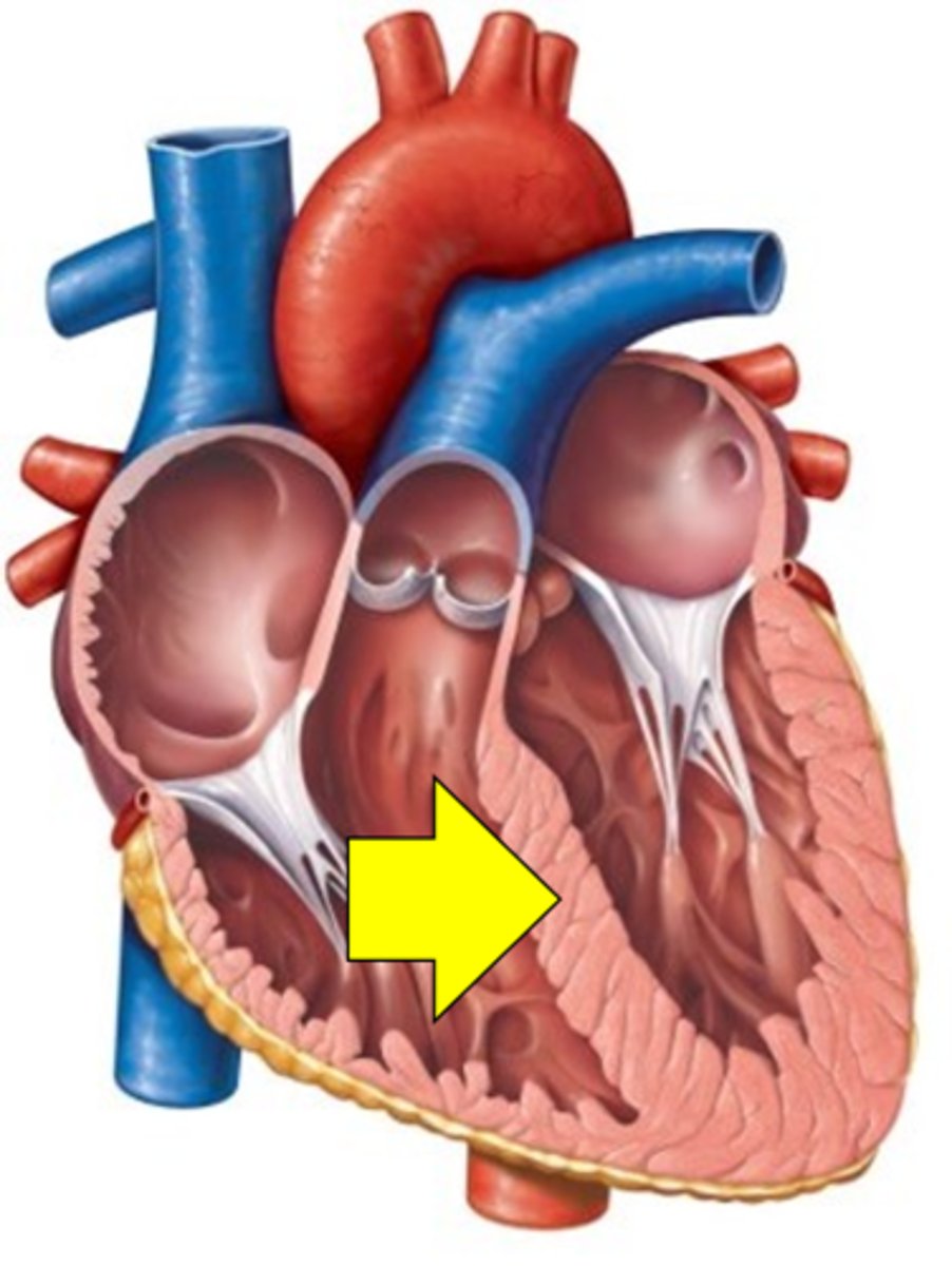 <p>Name the structure.</p>